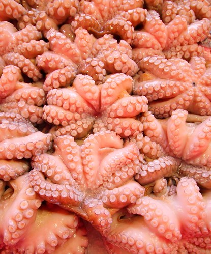 fish ex canon market sigma explore dettagli octopuss 1020 mercato pesce chioggia gmt hsm explored 550d piovre superstarthebest
