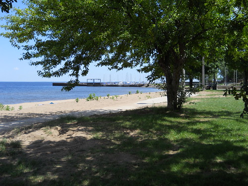 trees beach water marina michiganparks