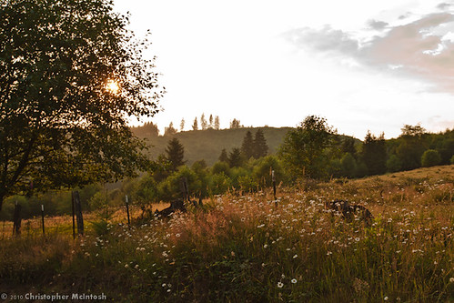 sunset cloud sun sunlight field clouds fence washington farm silvercreek