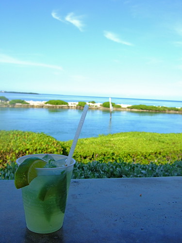 view resort mojito tropical rum refreshing alfresco floridakeys destinations outdoordining hawkscay duckkey foregroundobject