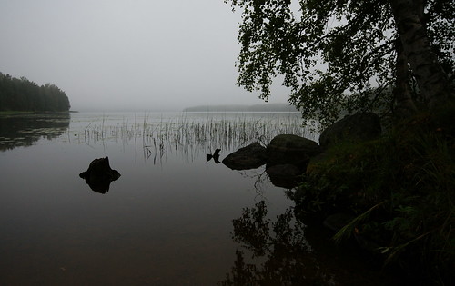morning lake fog suomi finland järvi sumu aamu ähtäri ähtärinjärvi