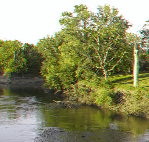 tree water river stereoscopic stereophoto scenic anaglyph iowa jefferson anaglyphs redcyan 3dimages 3dphoto bigsiouxriver 3dphotos 3dpictures stereopicture