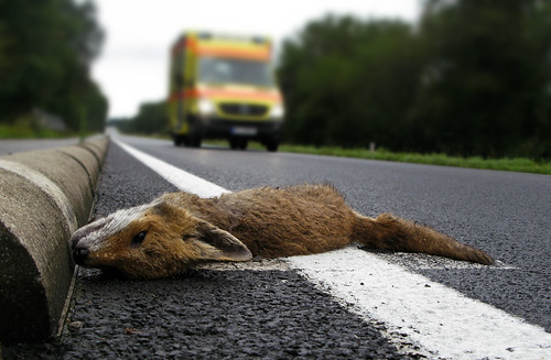 death highway eifel ambulance suddenly fox b258 bundesstrase glasseyesview