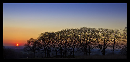 trees sunset sky silhouette landscape