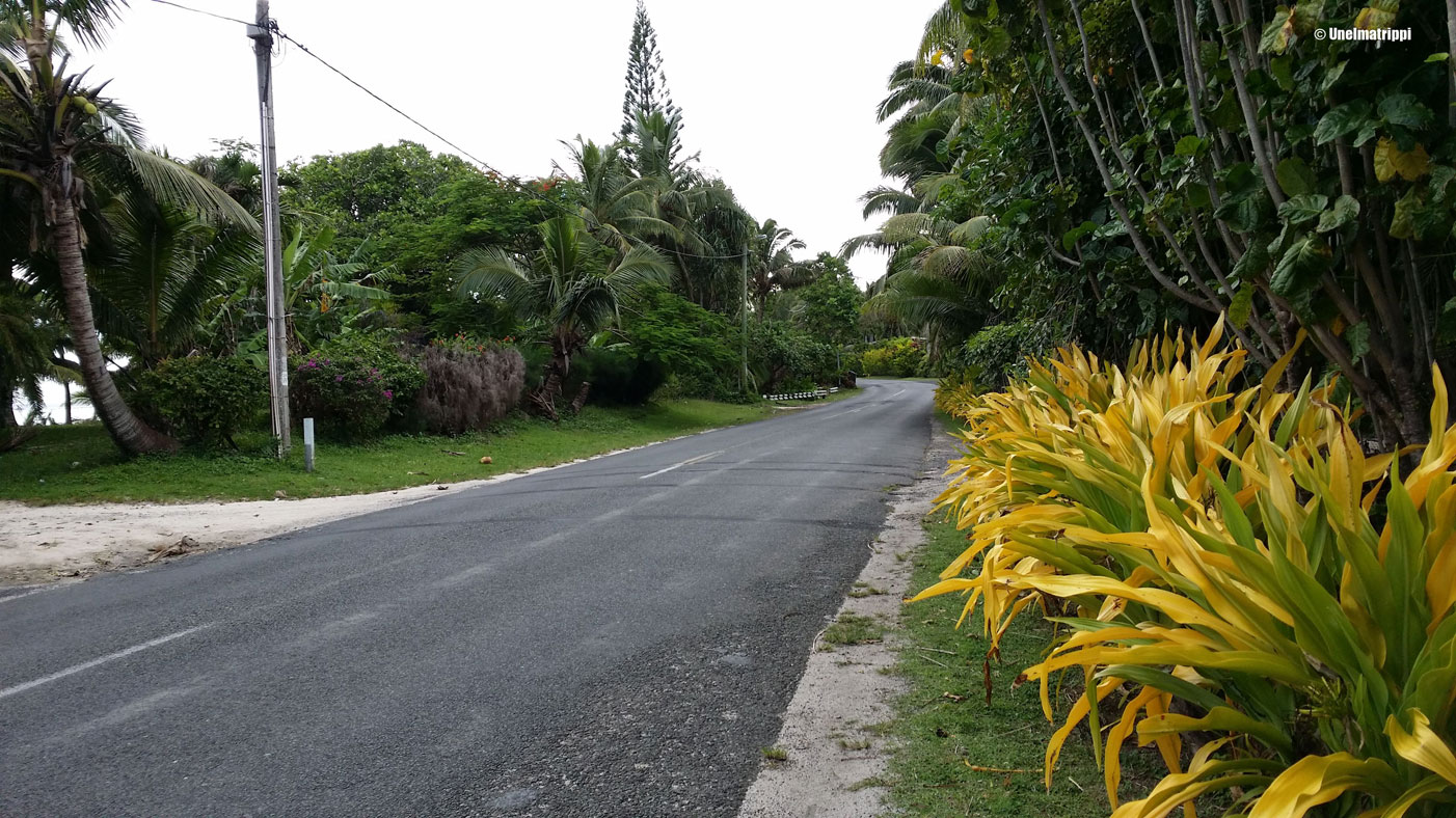 Kylänraitti, Rarotonga, Cookinsaaret