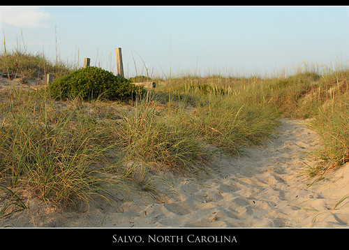 beach island nc sand dunes northcarolina outerbanks salvo barrierisland