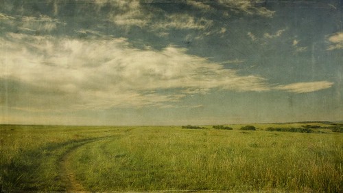 road morning sky grass clouds canon vintage landscape colorado horizon meadow dirty dirtroad wildflowers aged plains hdr 16x9 castlepines memoriesbook t1i