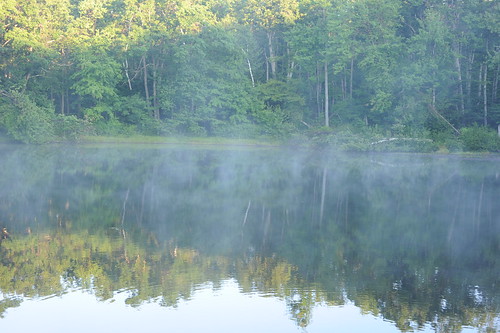 mist pond massachusetts 50mmf18d wachusettmountain