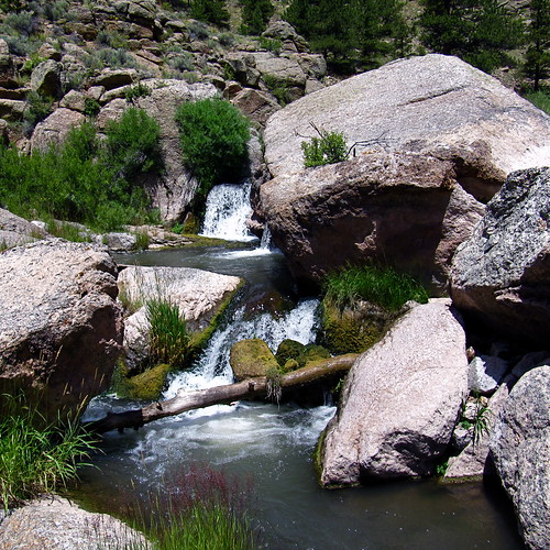 colorado trout parkcounty badgercreekflyfishing