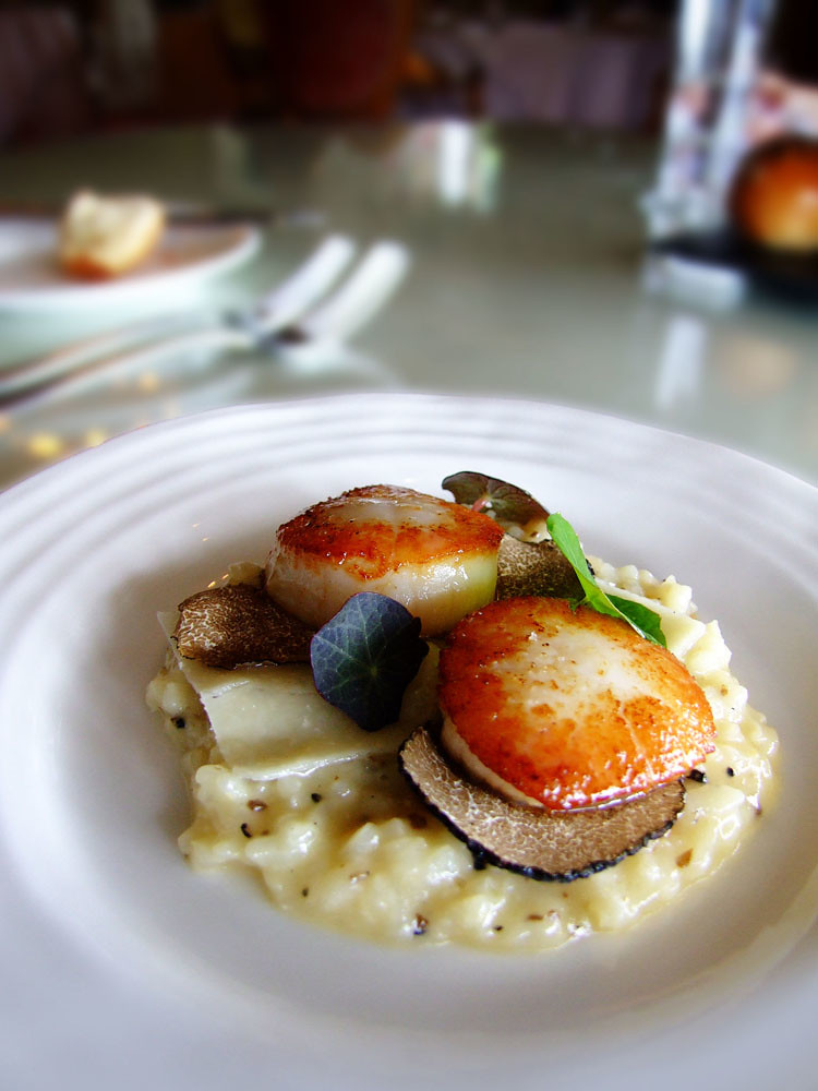 Hand dived scallops with white chocolate and Truffle risotto , Parmesan and Nasturtiums