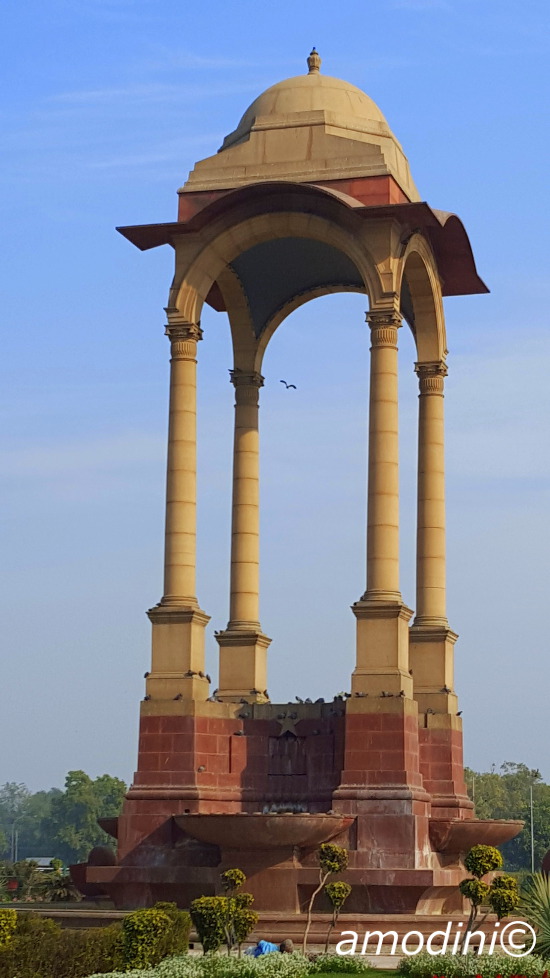 The Canopy, New Delhi