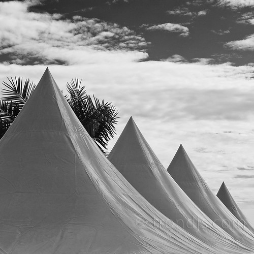 summer blackandwhite bw white abstract monochrome norway clouds canon palms square tents europe raw fineart palmtrees 5d scandinavia squarecrop 2010 hurum eos5d buskerud filtvet villamalla trondjs palmleafs ef70300mm1456isusm
