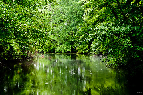 statepark reflection tree water landscape connecticut hopeville