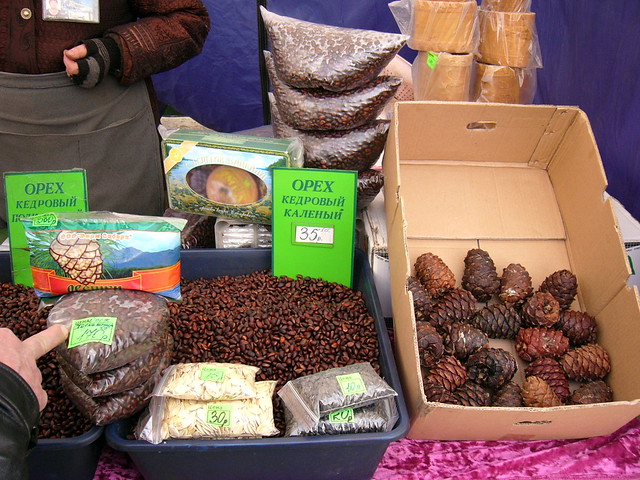 Gifts from Baikal. Cedar nuts. 