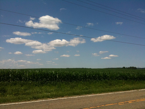 ohio sky field clouds corn farming bluesky crops 2010