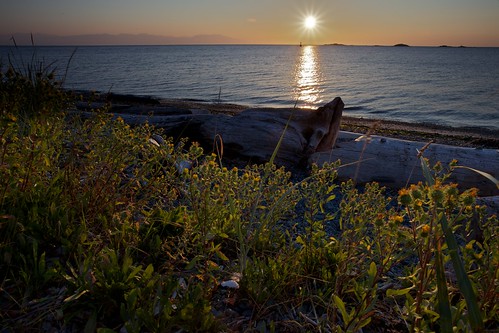 ocean canada beach sunrise pacific britishcolumbia nanaimo vancouverisland driftwood pacificocean straitofgeorgia piperslagoon ef1740mmf4lusm piperslagoonpark