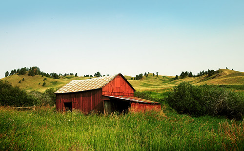 old travel red summer sky usa mountains color nature beautiful crimson field grass horizontal barn rural landscape outdoors countryside scenery montana soft mt antique farm small shed meadow bluesky nobody panoramic hills havre western passion romantic copyspace bobross agriculture aging bushes idyllic rollinghills tinroof tallgrass clearsky bearpaw tranquilscene greatplains stockphotography subdued countypark redpaint leanto beavercreekpark hillcounty colorimage agritourism ruralscene beautyinnature barnboards hiline bearpaws joyofpainting westernunitedstates paintedred littleredbarn ruralmontana horizonoverland montanalandscape leantoshed toddklassy montanaphotographer montanalandscapephotographer