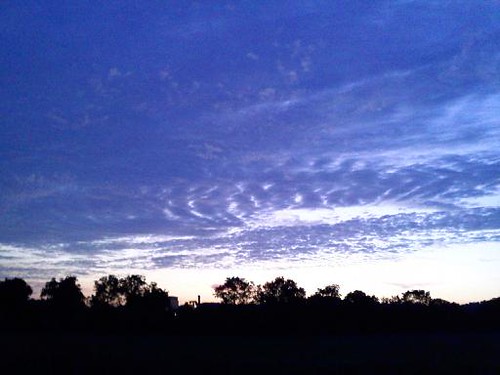 trees sunset summer sky field silhouette night clouds evening twilight pennsylvania pa lehighvalley eastonpa forkstownship northamptoncounty uhlerroad