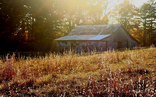 sunset building field grass barn rural canon outdoors farm rustic alabama scenic
