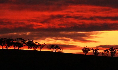 trees sunset hill cropped toodyay 4768imgadjcrop21024x614q85