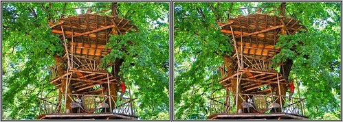 wood art oregon stereoscopic 3d nikon gallery stereo d200 chacha carvings kerby burl sequential crossview xview