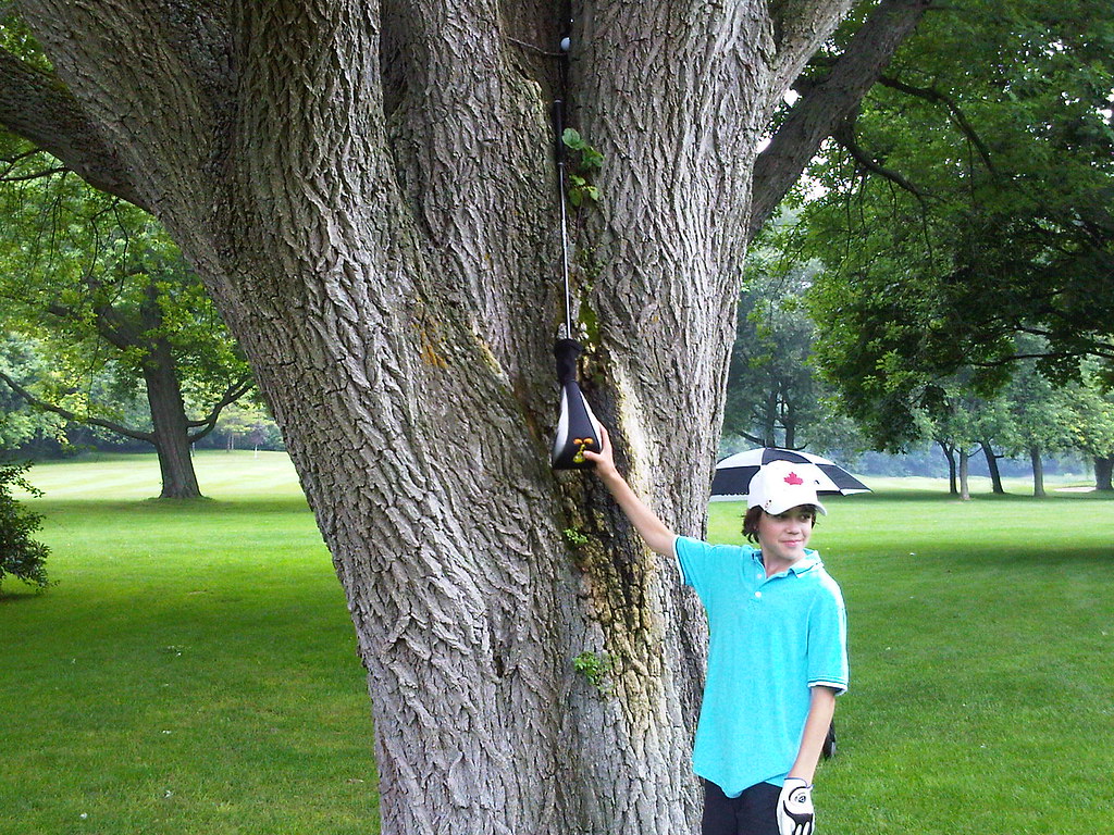 How to Take an Unplayable from a Ball Up a Tree – Rule 19 - GolfRules  Questions