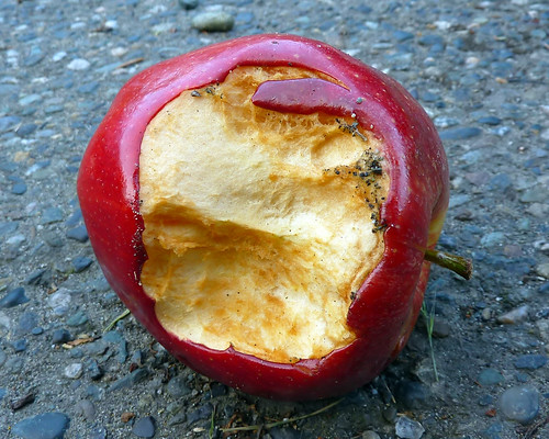 dirty rotten apple 1