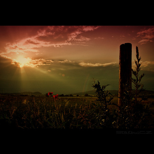 sun field canon landscape poppy tamron gettyimages ih earlyevening tamron1750 40d canoneos40d stafbulcz jaroslavvondracek