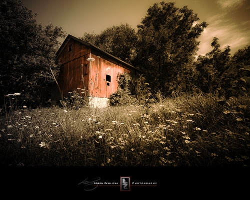 old flowers trees red summer abandoned nature overgrown grass wisconsin barn rural landscape photography countryside photo weeds midwest image decay farm belleville picture july explore weathered enduring canonef1740mmf4lusm 2010 canoneos5d flickrexplore greencounty lorenzemlicka
