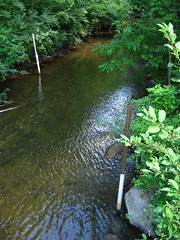 Fleming Creek