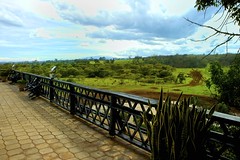 Aberdare National Park Kenya