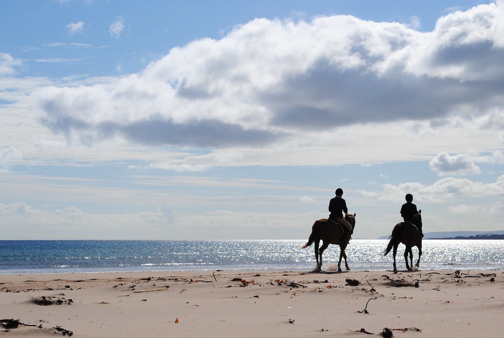 Cavalli sulla spiaggia