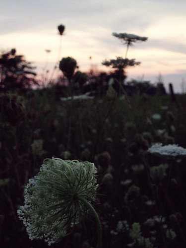 sunset ohio meadow lowdynamicrange