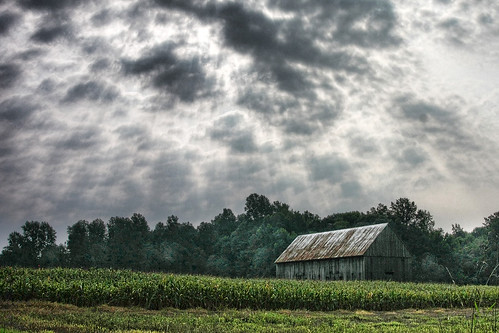 clouds barn rural cornfield farming scenic agriculture calvertcounty
