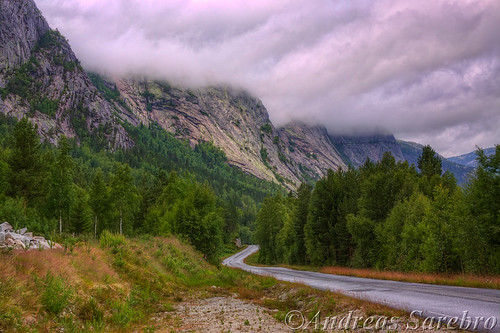 cloud mountain tree grass norway stone forrest toad hdr