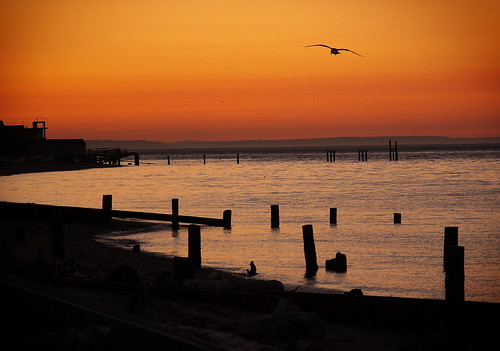 sunset beach water pier washington seagull pugetsound piling hansville pointnopoint