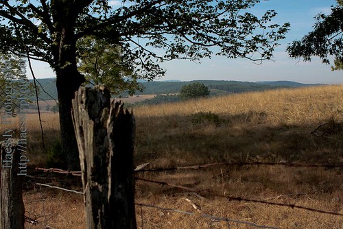 wood old field westvirginia livestock ef2470mmf28lusm fencepost expanse canon40d newcreek haesslyphotography haesslyphoto