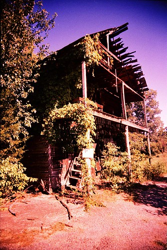 wood old rot abandoned film rotting overgrown neglect rural 35mm wooden store al xpro crossprocessed fuji slim decay crossprocess alabama toycamera neglected wide southern forgotten fujifilm 100 generalstore vivitar ultra abandonment overgrowth reclamation plasticcamera uws bertha sensia countrystore deepsouth collapsing ultrawideslim plasticlense fallingin fallenin dalecounty e6toc41 onitslastlegs covingtonstore anomyk