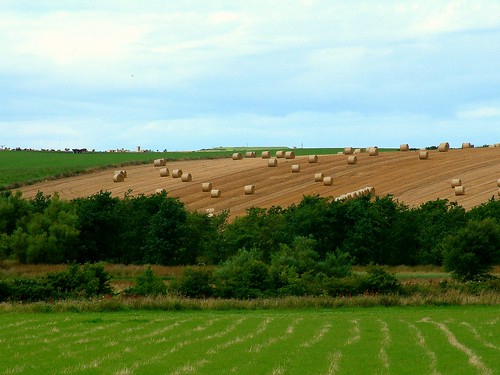 rural scotland countryside aberdeenshire country harvest farmland bales fraserburgh rotoballe memsie rotobale ecose