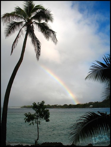 ocean blue seascape rainbow turquoise lagoon palmtree coconutpalm philscamera vanuatu coralsea portvila viewfromtheroom efate erakorisland erakorlagoon erakorislandresort