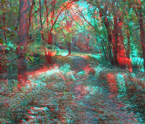 road park sun tree nature stereoscopic stereophoto scenic anaglyph iowa shade siouxcity anaglyphs stonepark redcyan 3dimages 3dphoto 3dphotos 3dpictures stereopicture
