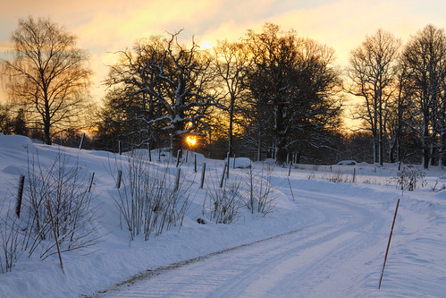 road trees winter snow sunrise dawn sweden sverige hdr östergötland sturefors sigma70300mmf456apodgmacro canoneos7d skälstorp