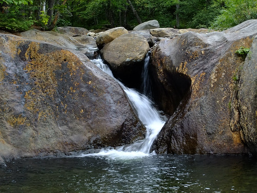trees water waterfall rocks maine smallsfalls