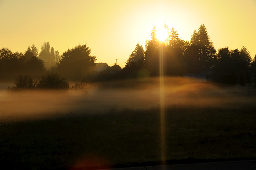 morning fog vancouver sunrise washington pacific northwest