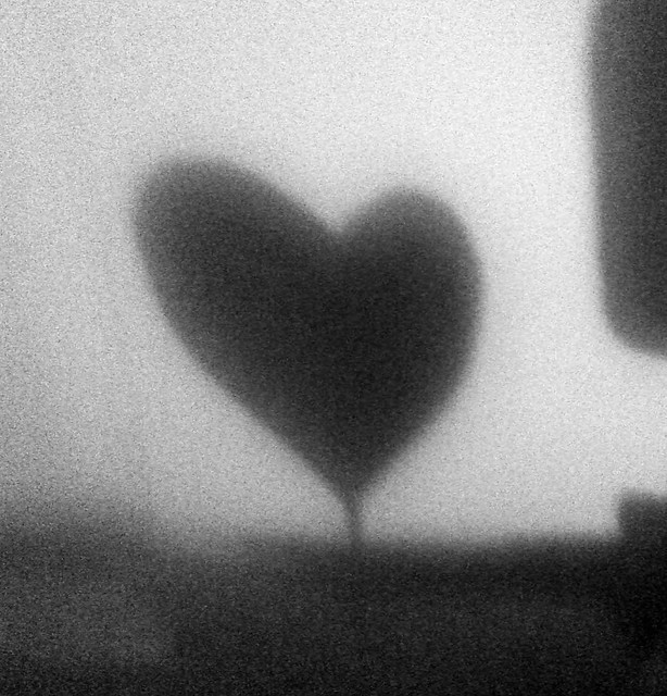 Black and white heart - 166/365 | Flickr - Photo Sharing!