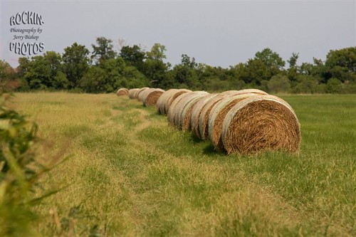 circle texas roll hay huffman