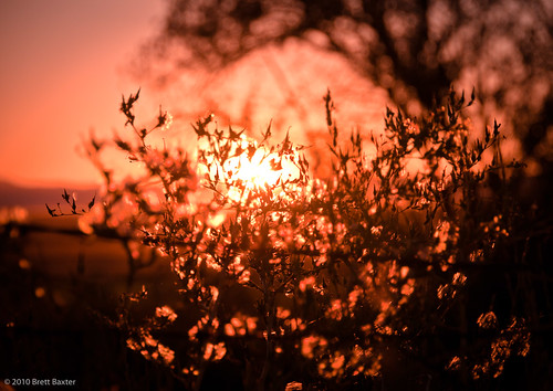 pink blue sunset orange color brettbaxterphotography