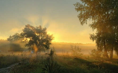 morning sunset summer sun fog sunrise landscape fire solar ray russia siberia hdr nx10