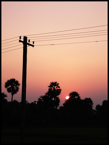 sunset sky sun evening twilight palm kanchipuram vaiyavoor