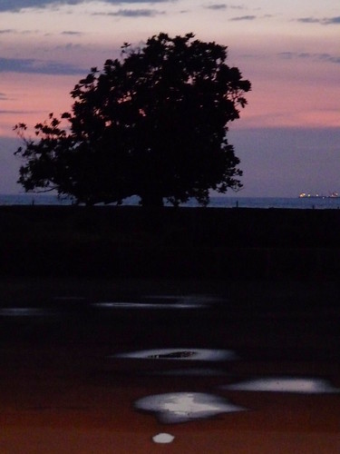 sunset india silhouette bombay mumbai puddles arabiansea anawesomeshot flickrdiamond magicunicornverybest